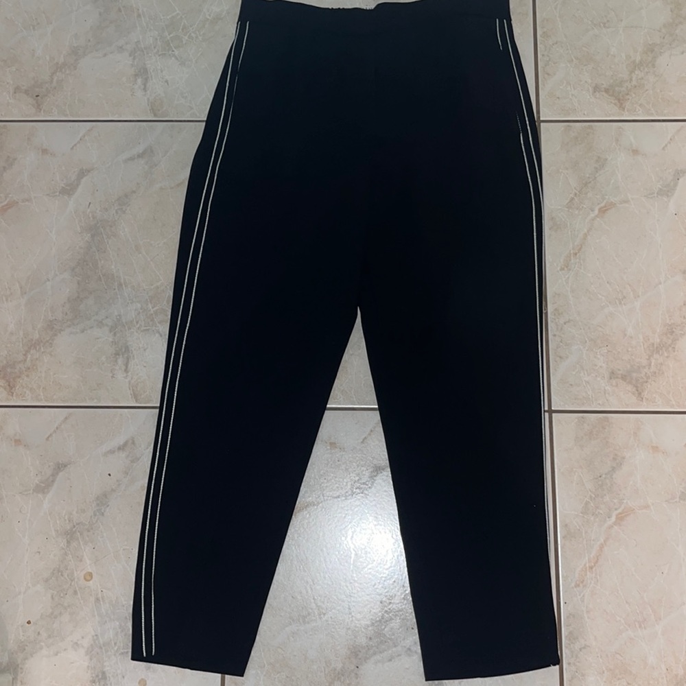 Babaton Dress Pants